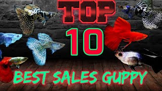 TOP 10 BEST SALES STRAIN GUPPY IN 20212022 [upl. by Tellford894]