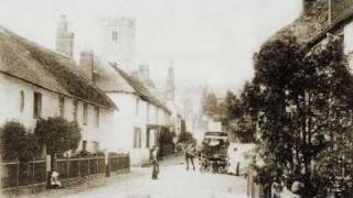 Great Trees of East Devon  The East Budleigh Mark Tree  Ancient tree [upl. by Fowkes]