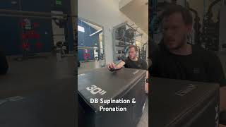 Wrist Supination amp Pronation [upl. by Allain]