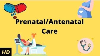 Antenatal Care  Gynecology  Health and illness nursing Foundation notes [upl. by Bertilla]