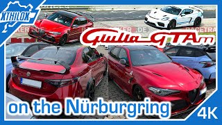 Alfa Romeo Giulia GTAm in Action on NÜRBURGRING NORDSCHLEIFE amp Porsche GT4 MR  BTG 4K [upl. by Tiphanie]