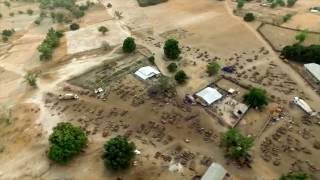 Illegal logging in southern Senegal illegal timber market in Sare Bodjo Gambia [upl. by Neltiac]