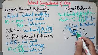 Anatomy of Peroneal Retinacula  Lateral Compartment of Leg [upl. by Devaney]