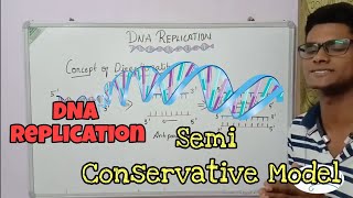 Concept of Directionality  DNA  Replication  ThiNK BIOLOGY  tnkumaresan ThiNK VISION [upl. by Dlorej]