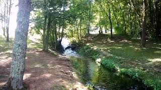 Exploring Dale Hollow Dam Site Campground [upl. by Shulem]