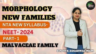 Morphology of flowering plants  new families  MALVACEAE  neet 24  class11 biology  part 1 [upl. by Eladnor538]