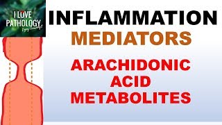 INFLAMMATION Part 5 Chemical Mediators ARACHIDONIC ACID METABOLITES [upl. by Senilec]