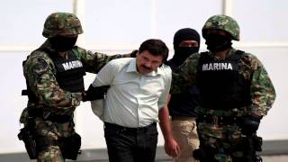 La Captura del Chapo  Los Alegres del Barranco [upl. by Ecirtnahc]