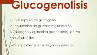 GLUCOGENOLISIS PASO A PASO RUPTURA DEL GLUCOGENO [upl. by Silevi422]