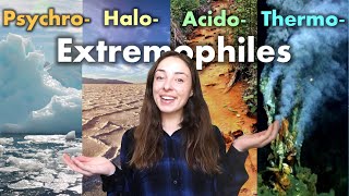 Extremophiles Organisms That Live in Extremely Cold Hot Acidic or Salty Environments  GEO GIRL [upl. by Defant617]