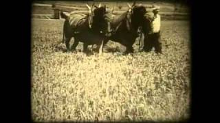 Landwirtschaft gestern Ackerbau in der Schweiz um 1936 [upl. by Carin]