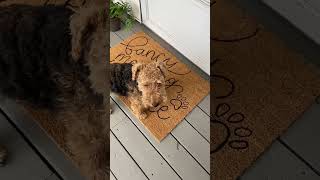 Easy DIY Doormat With Acrylic Paint [upl. by Dahlstrom]