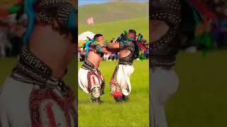 DavharBayars Best Takedown  Inner Mongolian Wrestling [upl. by Nandor]