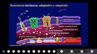 LECTURA INTERPRETADA DEL ANTIBIOBRAMA GRAM NEGATIVOS Dr Wilfrido Coronel [upl. by Aubree]