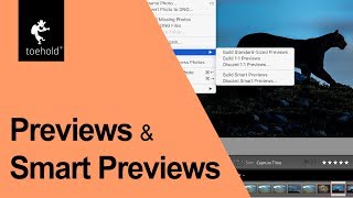 Difference between preview and smart preview in Lightroom [upl. by Rein]