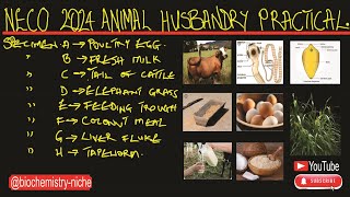 NECO 2024  Animal Husbandry Practical Specimen [upl. by Marline]