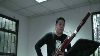 OSCAR GARCIA YOU TUBE ORCHESTRA  audition bassoon 2011 [upl. by Nnayllas]