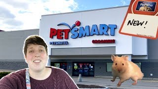 HUNTING FOR MORE NEW HAMSTER ITEMS AT PETSMART [upl. by Ahsekal]