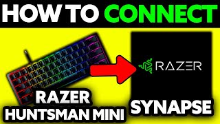 How To Connect Razer Huntsman Mini to Razer Synapse 2024  Step by Step [upl. by Helas359]