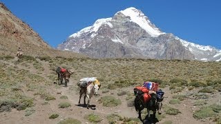 Aconcagua Polish Traverse [upl. by Nolyad477]