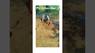 Lazy led song farming haryanvi desisong latest [upl. by Ezzo]