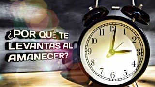 Descubre por qué Dios te despierta al amanecer [upl. by Armin]