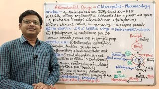 Antimalarial Drugs Part05 Chloroquine Mechanism of Action  Chloroquine  Chloroquine MOA [upl. by Aro537]