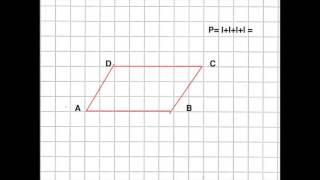 il parallelogramma [upl. by Pergrim]