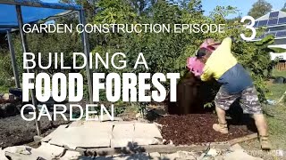 How to create a food forest garden Sheet mulching [upl. by Pirozzo]