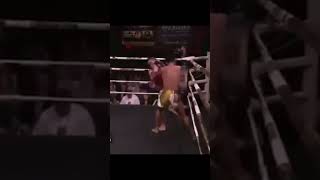 🥊Fastest Head Kick Knockout Ever in the History of Combat Sports shorts [upl. by Margery456]