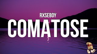 Rxseboy  COMATOSE Lyrics [upl. by Damalus]