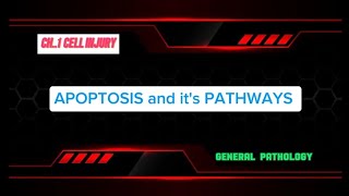 APOPTOSIS AND ITS PATHWAYS Part 06  Gen Patho CH 01 [upl. by Notyep]