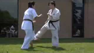 Kyokushin Demo [upl. by Prosperus]