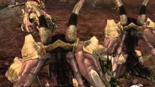 Lineage 2 Stakato Nest pole exp [upl. by Rebmaed905]