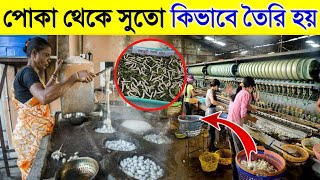 Silk Manufacturing Process in Bangla [upl. by Brass]