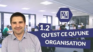 Chapitre 1  Quest ce quune organisation 23  Management Bac STMG  digiSchool [upl. by Yllut]