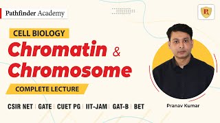 Chromatin and Chromosome  Cell Biology  Pranav Kumar  CSIR NET  GATE  DBT  ICMR  IIT JAM [upl. by Vaish]