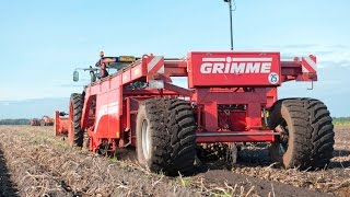 GRIMME RL 400  windrower for potatoes [upl. by Alia]