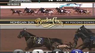 Foiled Again  2013 Breeders Crown Final  Open Horse Pace [upl. by Enidualc]