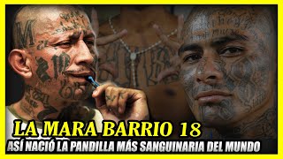 ASÍ NACIÓ LA MARA BARRIO 18  La pand1lla más sangu1naria del Mundo [upl. by Atteuqehs]