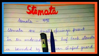 What is Stomata  Definition of Stomata in Plants  Stomata kise kahate hain [upl. by Egide165]