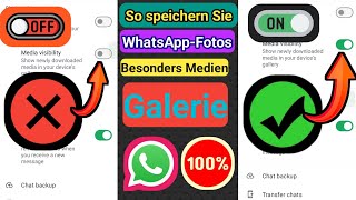 So speichern Sie WhatsAppFotos insbesondere die Medien in der Galerie Ihres Geräts 2024 [upl. by Ernst483]