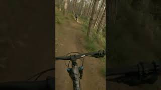 Rock Candy  Drops and Jumps at Woodhill mtb [upl. by Yleme]