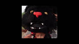 REVIEW BARONGAN MACAN HITAM [upl. by Akemaj]