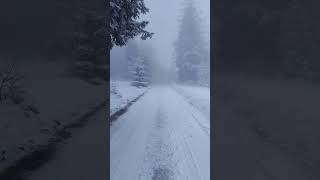 Śnieżne i mgliste Beskidy nature mountains travel hiking winter viralvideo firstsnow [upl. by Ahsotan706]