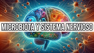 🔄️ RELACIÓN entre la Microbiota y el Sistema Nervioso  Mar Alonso [upl. by Nyleikcaj]