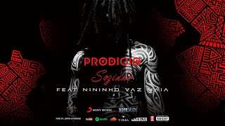 Prodígio Sozinho Feat Nininho Vaz Maia [upl. by Evelc]