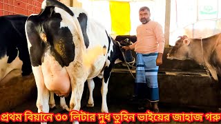 প্রথম লেকটোশনে ৩০ লিটার দুধ তুহিন ভাইয়ের নতুন জাহাজ গরু  জানতে ফুল ভিডিওটা দেখুন [upl. by Suzanna]