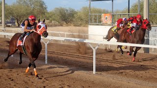 Carreras en el Hipodromo Los Mezquites 03 Noviembre 20242024 [upl. by Michi]