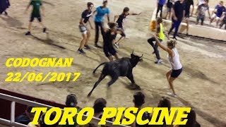 CodognanToro PiscineRaynaud22062017VC [upl. by Ennayd]